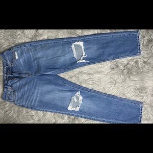 American Eagle Outfitters Mom Jean